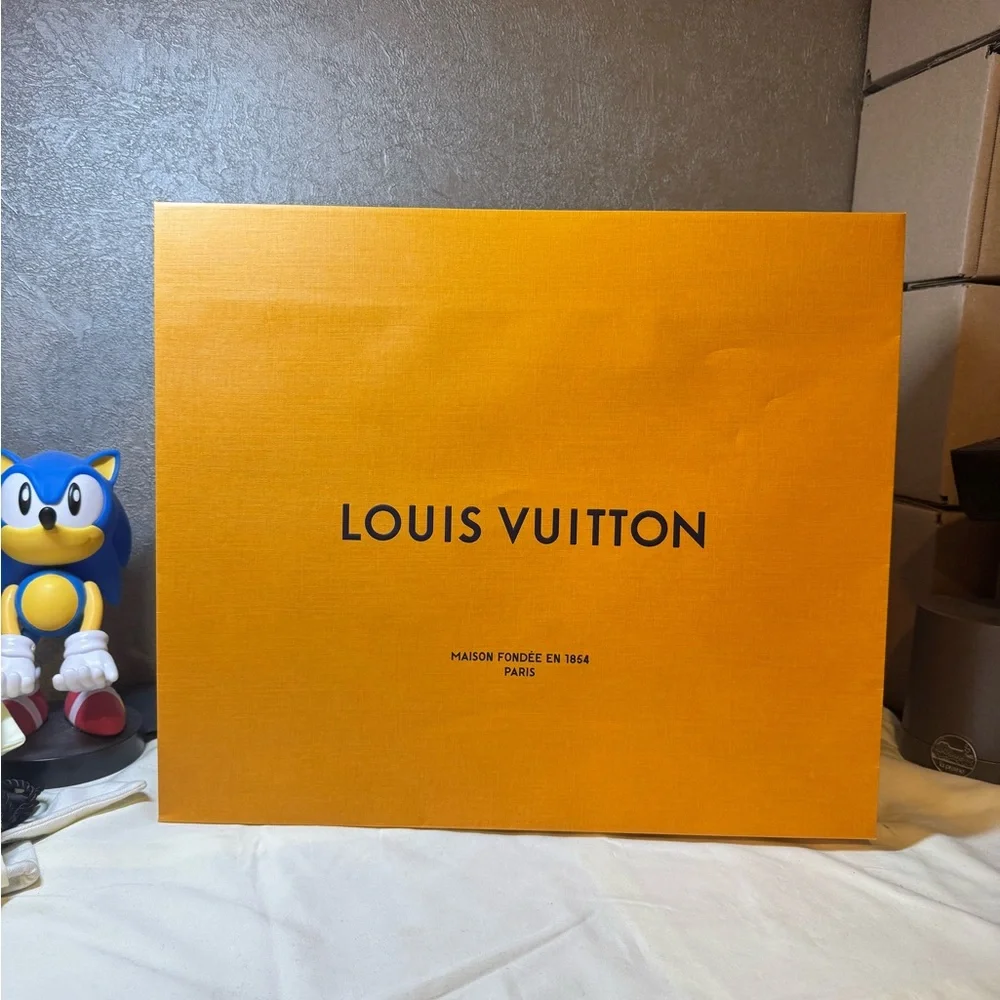 Louis Vuitton gift bag